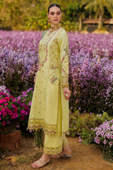 3-PC Embroidered Lawn Collection Suit CZ5-06 P