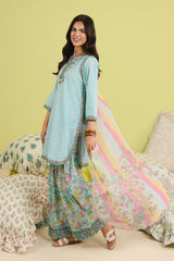 3-PC Chikankari Embroidered Lawn CNP-6-266