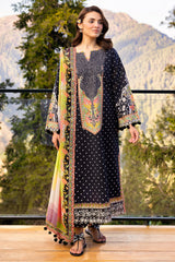 3-PC Stitched Embroidered Lawn Collection CRB6-15P