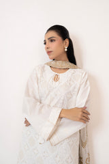 3PC Lawn Embroidered Suit