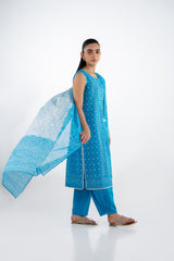 3PC Lawn Printed Suit