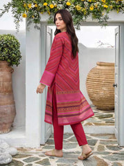 2 Piece Lawn Suit- Embroidered (Pret)