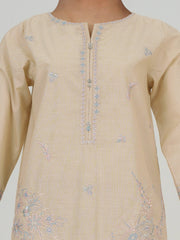 Yarn Dyed Kurti- Embroidered (Pret)