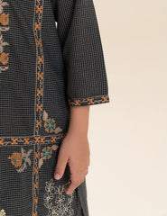 2 PIECE ETHNIC EMBROIDERED SUIT