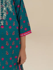 2 PIECE ETHNIC EMBROIDERED SUIT