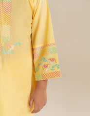 2 PIECE ETHNIC EMBROIDERED SUIT