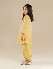 2 PIECE ETHNIC EMBROIDERED SUIT