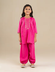 2 PIECE ETHNIC EMBROIDERED SUIT