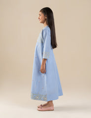 EMBROIDERED DRESS