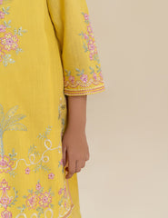 2 PIECE ETHNIC EMBROIDERED SUIT
