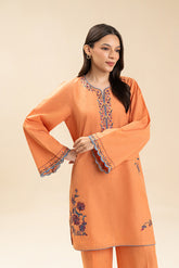2 PIECE EMBROIDERED MULTI NEPS SUIT (PRET)