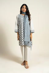 RTW | SHIRT, CULOTTE & DUPATTA