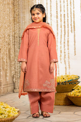 3-PC Embroidered Raw-Silk Suit CKP-6-373