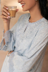 2 Piece Embroidered Lawn Suit