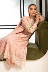 3 Piece Embroidered Lawn Suit