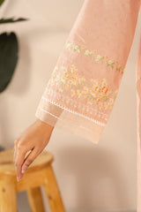 RTW | SHIRT, CULOTTE & DUPATTA