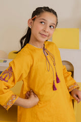 Embroidered Kurta Trouser - 2206