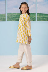 Kurta Trouser - 2230