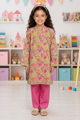 Embroidered Kurta Trouser - 2549