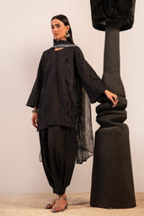 ANIKA - MSS6062