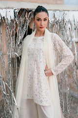 3 Piece Embroidered Net Suit