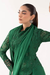 Embroidered Chiffon Saree