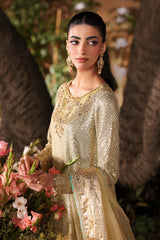 3 Piece Embroidered Chiffon Suit