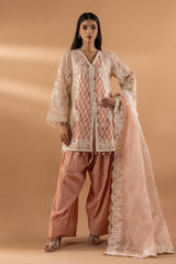 Stitched Embroidered Organza Dupatta