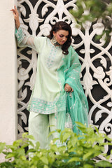 3-PC Embroidered Cotton Net CMA-5-234