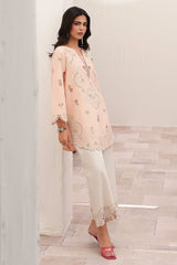 2-PC Stitched Embroidered Lawn Collection CNP-6-221