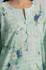 Embroidered Kurta Trouser - 2126