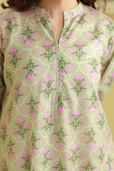 Kurta - 2541