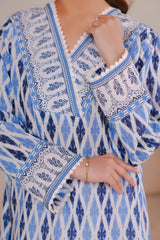 Kurta - 2812