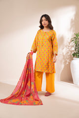 RTW | SHIRT, CULOTTE & DUPATTA
