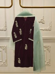 2 Piece - Embroidered Velvet Suit S113373