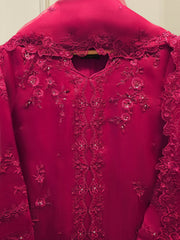 3 Piece - Pure Organza Embroidered Suit S115248