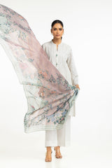 Cambric Schiffli Embroidered Shirt And Dupatta