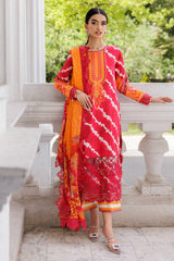 3-PC Stitched Embroidered Lawn Collection  AG6-04 P