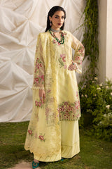 3-PC Embroidered  Cotton Net CMA-5-192