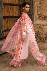 3-PC Stitched Embroidered Lawn  CC6-26P