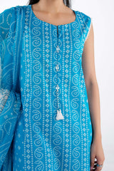 3PC Lawn Printed Suit