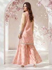 2 Piece Poly Net Suit- Embroidered (Pret)