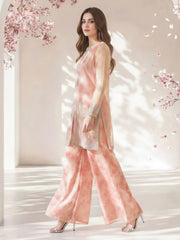 2 Piece Poly Net Suit- Embroidered (Pret)