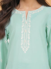 2 Piece Yarn Dyed Suit- Embroidered (Pret)