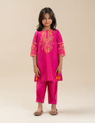 2 PIECE STYLISH EMBROIDERED SUIT