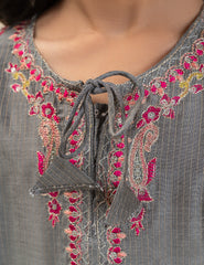 2 PIECE ETHNIC EMBROIDERED SUIT