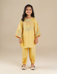 2 PIECE ETHNIC EMBROIDERED SUIT