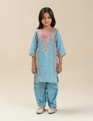 2 PIECE ETHNIC EMBROIDERED SUIT