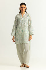 Blended Printed Shirt With Embroidered And Dyed Trouser
