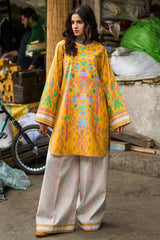 2-PC Stitched Printed Lawn CNP-6-242
